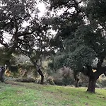 Cercado Forero Casa rural